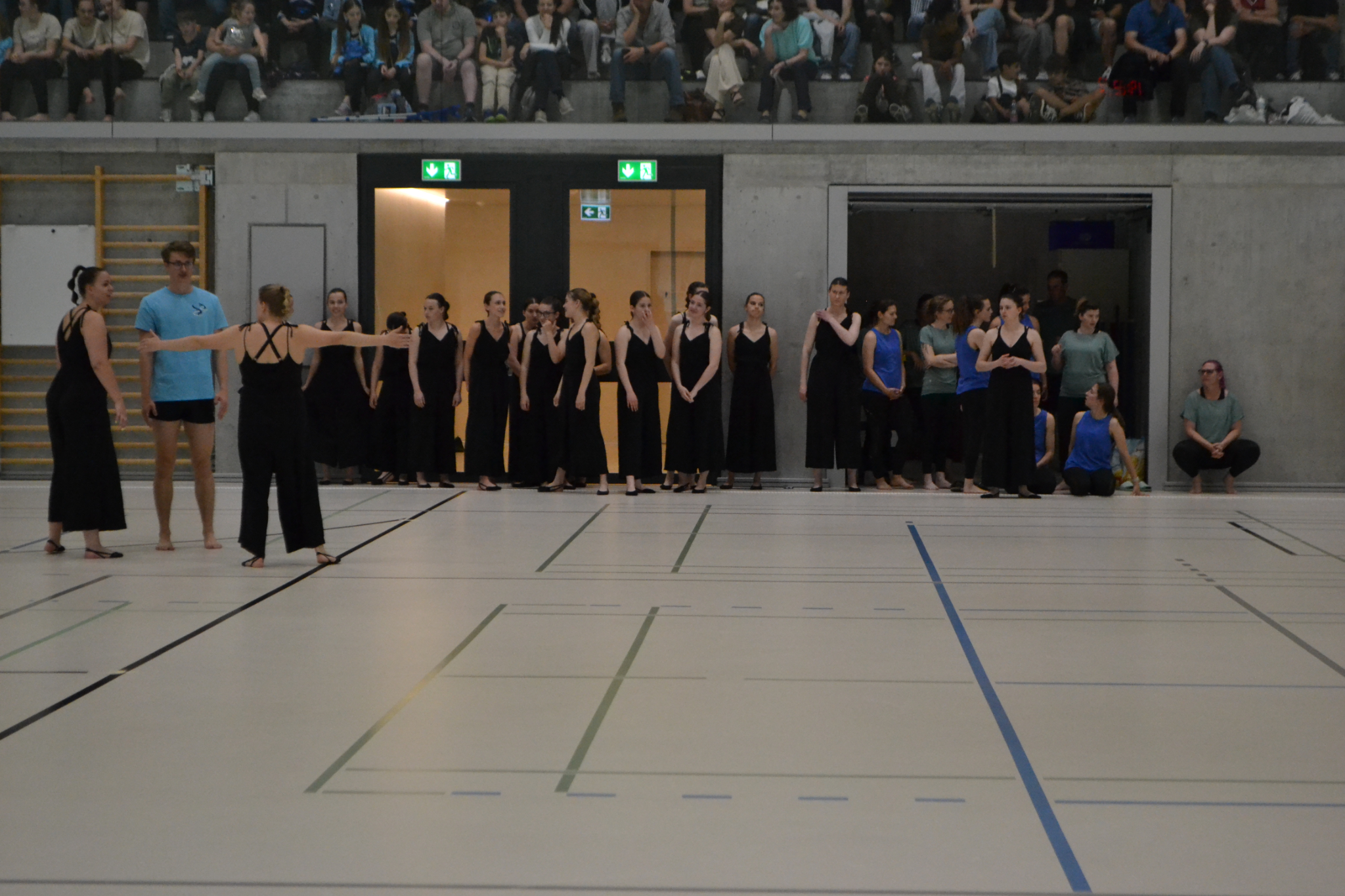Showturnen (74)